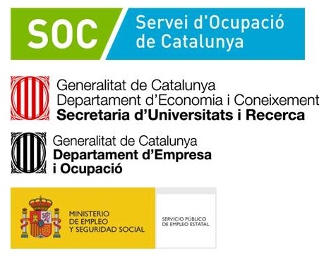 Actividad de mejora de la ocupabilidad. SOC 2015