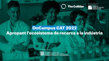 The Collider OnCampus